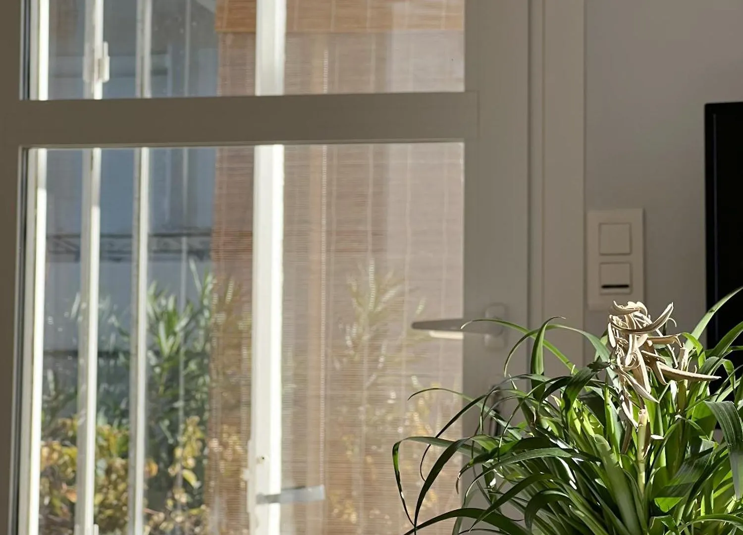 Petit Appartement Tranquille Avec Jardin - Hyeres Centre Ville